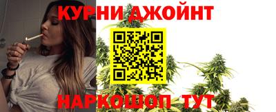 герыч Кингисепп